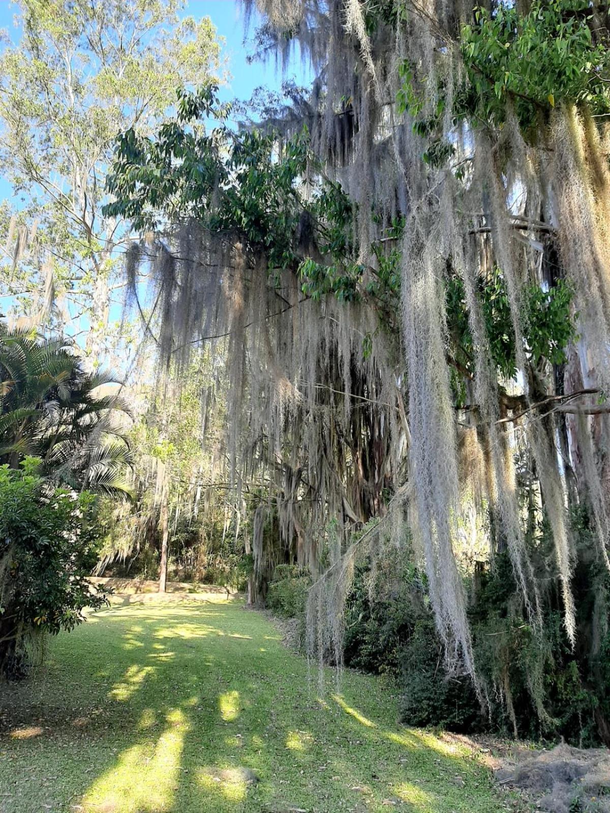Teresópolis Sitio Riacho Das Pedras מראה חיצוני תמונה